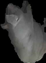 Crop