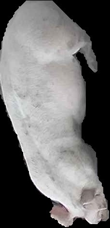 Crop