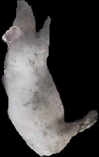 Crop