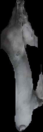 Crop