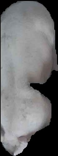 Crop