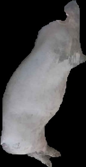 Crop