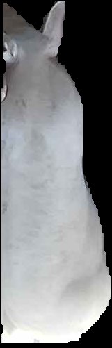 Crop