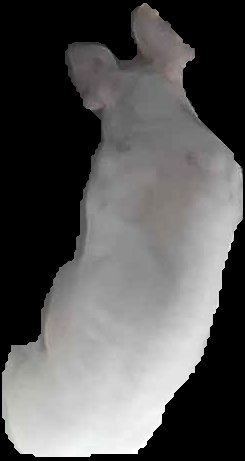 Crop