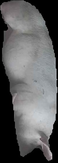 Crop