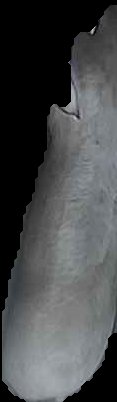 Crop