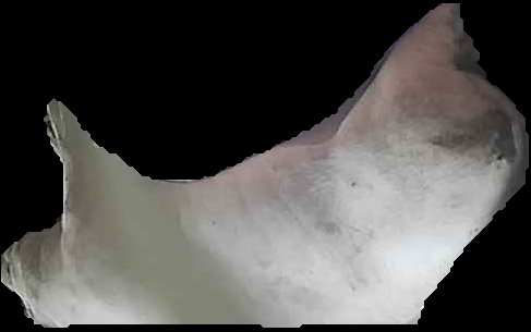 Crop