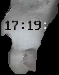 Crop