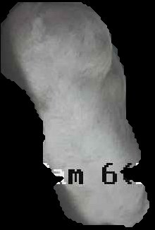 Crop