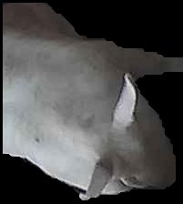Crop