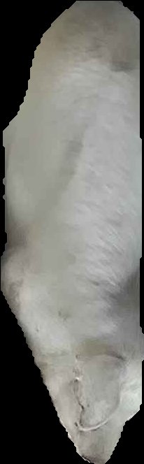 Crop
