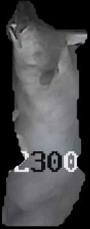 Crop