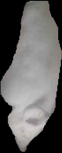 Crop