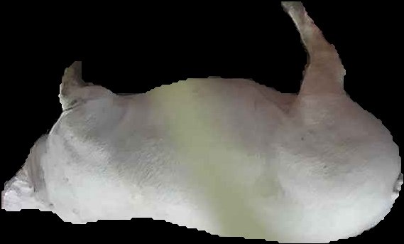Crop