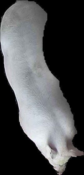 Crop