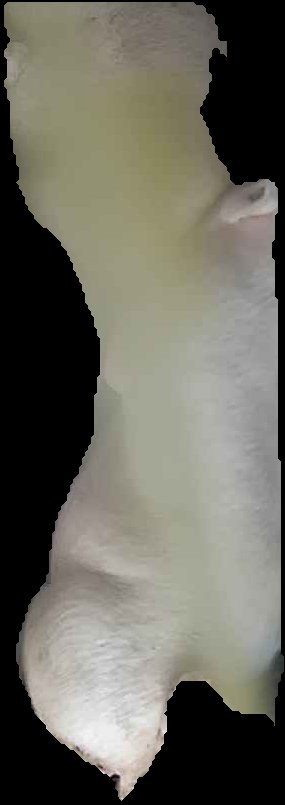 Crop