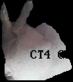 Crop