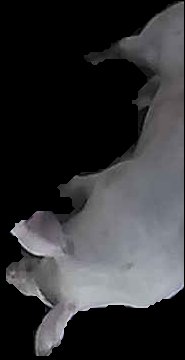 Crop