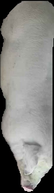 Crop