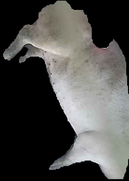 Crop