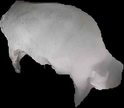 Crop