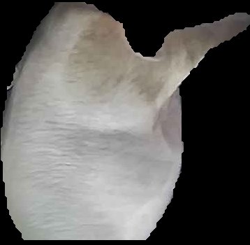 Crop