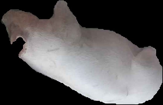 Crop