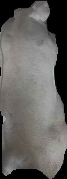 Crop