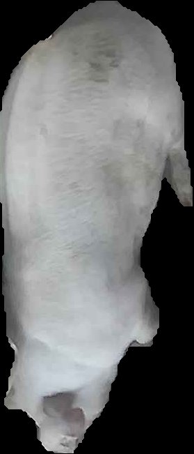 Crop
