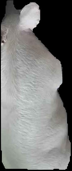 Crop