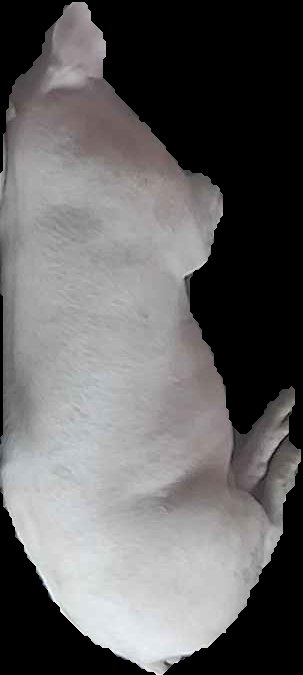 Crop