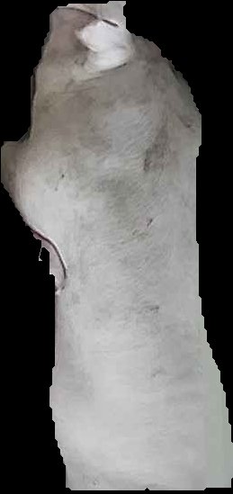 Crop