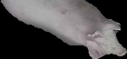 Crop