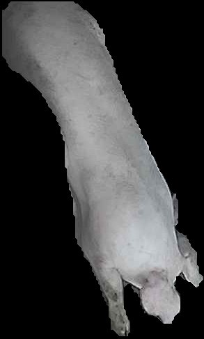 Crop