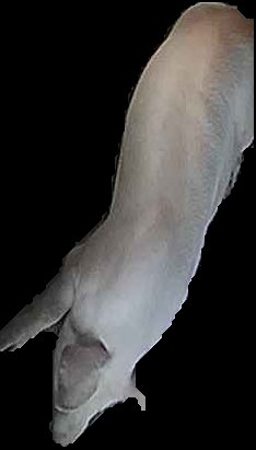 Crop