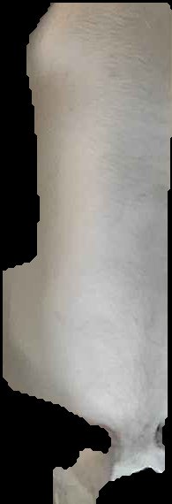Crop