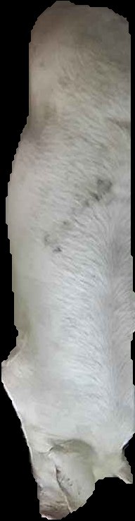 Crop