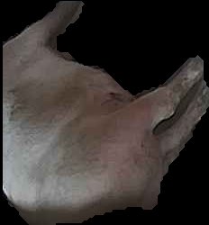 Crop