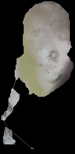 Crop