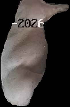 Crop