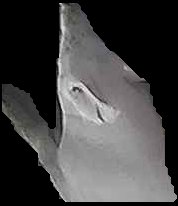Crop
