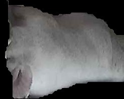 Crop
