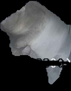 Crop