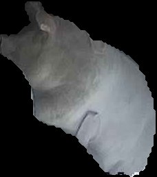 Crop