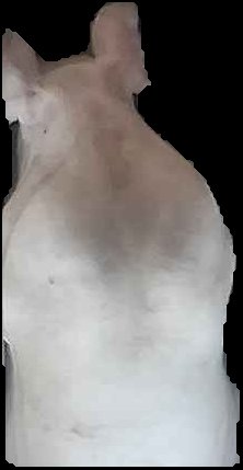 Crop