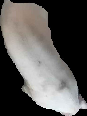 Crop