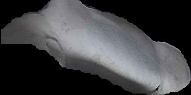 Crop