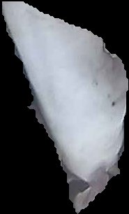 Crop