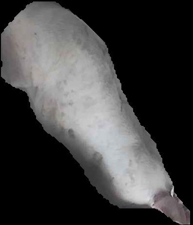 Crop