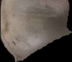 Crop